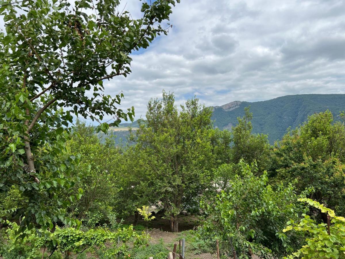 Arman Bed And Breakfast Halidzor Luaran gambar